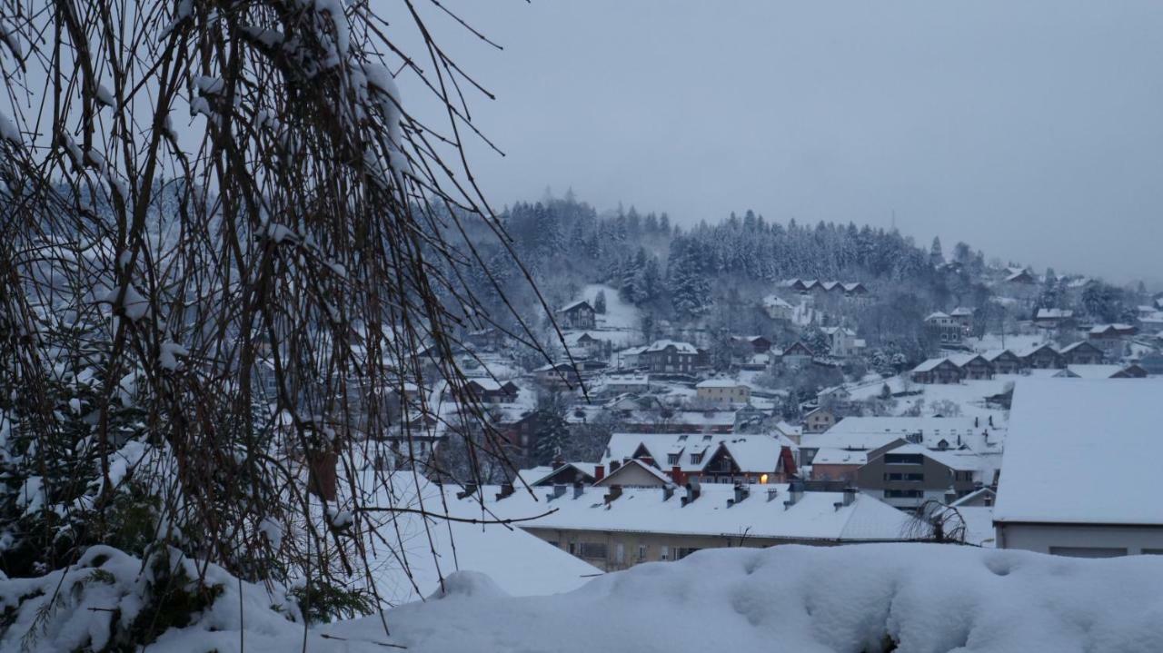 Appartamento L&R Gérardmer Fontaine Esterno foto